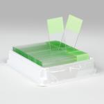 Microscope Slides, Diamond White Glass, 25 x 75mm, 90� Ground Edges, GREEN Frosted, 72/Box, 20 Boxes/Case (10 Gross)