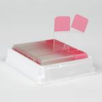 Microscope Slides, Diamond White Glass, 25 x 75mm, 45� Beveled Edges, Clipped Corners, PINK Frosted, 72/Box, 20 Boxes/Case (10 Gross)