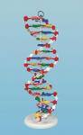 DNA MODEL, PRE-ASSEMBLED  MLS - DNAM01