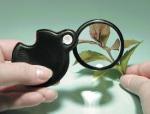 FOLDING MAGNIFIER IN POUCH, 2.5X Model #MPF050