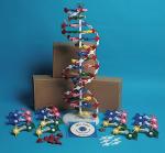 DNA MODEL (1 MODEL, UNASSEMBLED)  MLS - DNAM03-U