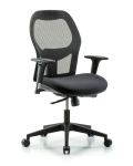 Executive Windrowe Mesh Back Chair with Standard Adjustable Arms & Casters EXE-MDHCH-RG-H0-A1-RC