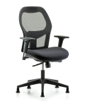 Executive Windrowe Mesh Back Chair with Standard Adjustable Arms & Stationary Glides EXE-MDHCH-RG-H0-A1-RG