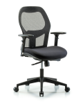 Executive Windrowe Mesh Back Chair with 3D Adjustable Arms & Casters EXE-MDHCH-RG-H0-A2-RC