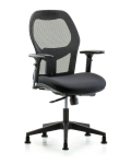 Executive Windrowe Mesh Back Chair with 3D Adjustable Arms & Stationary Glides EXE-MDHCH-RG-H0-A2-RG