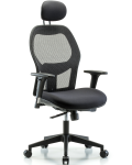 Executive Windrowe Mesh Back Chair with Head Rest, Standard Adjustable Arms, & Casters EXE-MDHCH-RG-H1-A1-RC