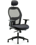 Executive Windrowe Mesh Back Chair with Head Rest, Standard Adjustable Arms, & Stationary Glides EXE-MDHCH-RG-H1-A1-RG