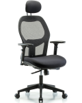 Executive Windrowe Mesh Back Chair with Head Rest, 3D Adjustable Arms, & Casters EXE-MDHCH-RG-H1-A2-RC