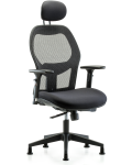 Executive Windrowe Mesh Back Chair with Head Rest, 3D Adjustable Arms, & Stationary Glides EXE-MDHCH-RG-H1-A2-RG