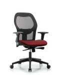 Executive Windova Mesh Back Chair with Standard Adjustable Arms, Borscht Supernova Seat, & Casters EXE-VMDHCH-RG-H0-A1-RC-8815