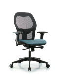 Executive Windova Mesh Back Chair with Standard Adjustable Arms, Storm Supernova Seat, & Casters EXE-VMDHCH-RG-H0-A1-RC-8822