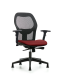 Executive Windova Mesh Back Chair with 3D Adjustable Arms, Borscht Supernova Seat, & Stationary Glides EXE-VMDHCH-RG-H0-A2-RG-8815