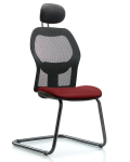 Executive Windova Mesh Back Guest Chair with Borscht Supernova Seat & Head Rest GEXE-VMDHCH-RG-H1-A0-RG-8815